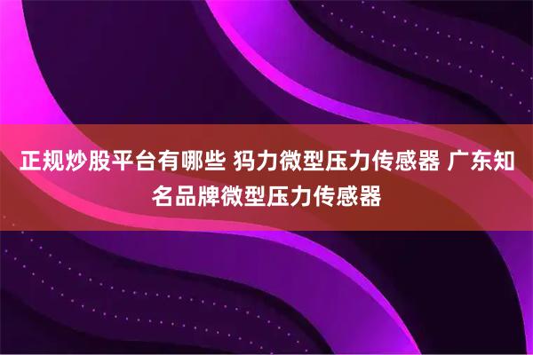 正规炒股平台有哪些 犸力微型压力传感器 广东知名品牌微型压力传感器